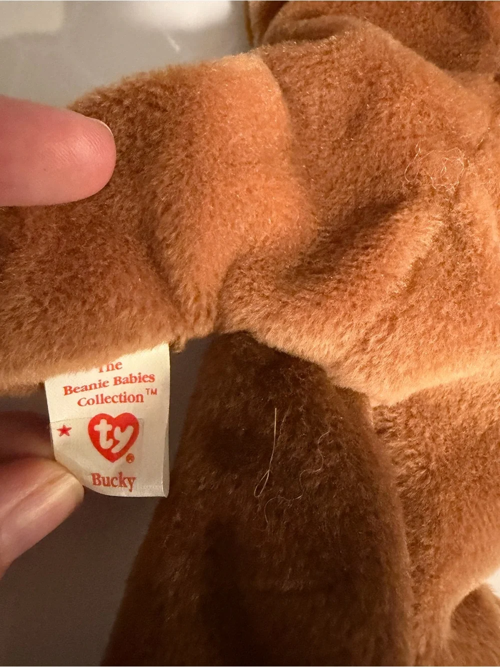 Vintage Ty Beanie Baby - Bucky the Beaver (Style 4016) - Retired 1995